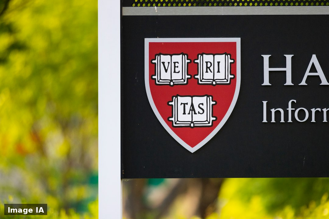 Un profil d'expert: CISSP, Harvard Business School Online et INSEAD